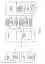 Fig. 03 - Merchant issued payment vehicles linked to preexisting financial accounts