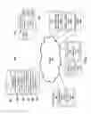 Fig. 04 - SYSTEMS, DEVICES, AND METHODS FOR GENERATING PERSONALIZED ELECTRONIC DOCUMENTS