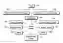 Fig. 01 - METHOD AND SYSTEM FOR ORGANIZING A TEAM OF INDIVIDUAL SERVICE PROVIDERS THROUGH A CENTRALIZED PROVIDER
