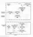 Fig. 19 - Filtering and edge encoding and decoding for depth maps