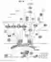 Fig. 09 - Techniques for ontology driven animation
