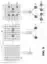 Fig. 06 - Lightfield compression using disparity predicted replacement