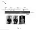 Fig. 03 - Livestock biosecurity system and method of use