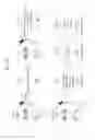 Fig. 24 - Wearable terminal for displaying screen optimized for various situations