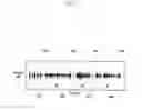 Fig. 06 - METHOD AND APPARATUS FOR MANAGING AUDIO SIGNALS