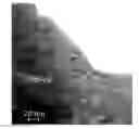 Fig. 01 - Bulk anisotropic exchange-spring magnets and method of producing the same