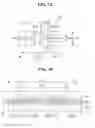 Fig. 09 - Display device with electrostatic dispersion line