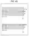 Fig. 46 - IMAGING DEVICE, MANUFACTURING METHOD, AND ELECTRONIC DEVICE