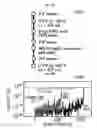 Fig. 31 - Sensor element, image sensor, methods of forming and operating the same