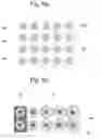 Fig. 07 - Semiconductor device having termination trench