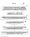 Fig. 06 - Collimated OLED light field display