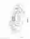 Fig. 02 - Hall element module