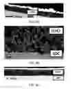 Fig. 08 - High performance oxygen and fuel electrode for reversible solid oxide fuel cell applications