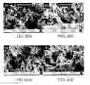Fig. 22 - High performance oxygen and fuel electrode for reversible solid oxide fuel cell applications