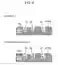 Fig. 05 - Fuel cell electrode catalyst