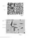 Fig. 02 - Fuel cell interconnect with metal or metal oxide contact layer