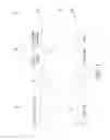 Fig. 02 - FUEL CELL SYSTEM AND STARTUP AND SHUTDOWN METHOD THEREFOR
