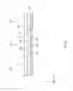 Fig. 07 - Wireless module and method for manufacturing the same