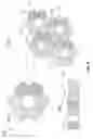 Fig. 06 - Phased array antennas for high altitude platforms