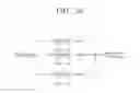 Fig. 42 - Transmitting apparatus and mapping method thereof