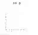 Fig. 49 - Transmitting apparatus and mapping method thereof