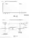 Fig. 10 - Network management with per-node cross-phase-modulation (XPM) compensation