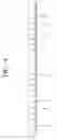 Fig. 08 - Transmitting apparatus and mapping method thereof