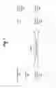 Fig. 02 - Low latency communications