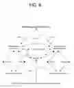 Fig. 09 - Method for visualizing and connecting concurrent website visitors as a universal communication layer across websites on the internet
