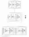 Fig. 09 - System and method for automatic wireless network authentication