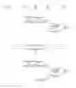 Fig. 01 - Legitimacy verification of a node in a distributed network