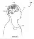 Fig. 03 - Systems and methods for enhancing or affecting neural stimulation efficiency and/or efficacy