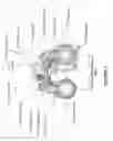 Fig. 04 - Fusion night vision system