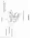 Fig. 07 - Fusion night vision system