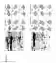 Fig. 06 - Structured illumination system for increased dynamic range in quantitative imaging