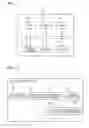 Fig. 02 - Image processing apparatus, image processing method, and storage medium