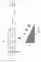Fig. 05 - Panoramic vision system