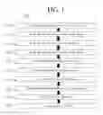 Fig. 02 - Panoramic image placement to minimize full image interference