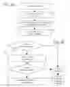 Fig. 05 - Providing content responsive to multimedia signals