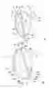 Fig. 02 - EARPHONE