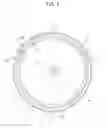 Fig. 08 - Loudspeaker diaphragm and loudspeaker including same