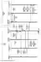 Fig. 04 - Acoustic coordination of audio sources