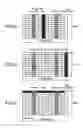 Fig. 08 - User device, signal transmission method, and signal reception method