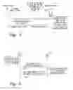 Fig. 04 - Enhanced node B and methods for providing system information updates to user equipment with extended paging cycles