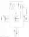 Fig. 07 - Wireless communication apparatus, communication method, and integrated circuit