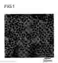 Fig. 02 - METHOD FOR PRODUCING SILVER NANOPARTICLES, SILVER NANOPARTICLES, AND SILVER COATING COMPOSITION