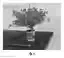 Fig. 08 - METHODS FOR PROVIDING GRAFTED CALIBRACHOA AND PRODUCTS THEREOF