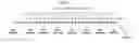Fig. 07 - TRANSGENIC MOUSE EXPRESSING INACTIVATED HUMAN IDURONATE-2-SULPHATASE AND METHOD FOR IMPROVING A HUNTER SYNDROME TREATING AGENT USING SAME