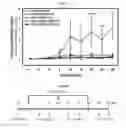 Fig. 09 - TRANSGENIC MOUSE EXPRESSING INACTIVATED HUMAN IDURONATE-2-SULPHATASE AND METHOD FOR IMPROVING A HUNTER SYNDROME TREATING AGENT USING SAME