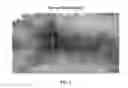 Fig. 02 - INSECTICIDAL COMPOSITIONS